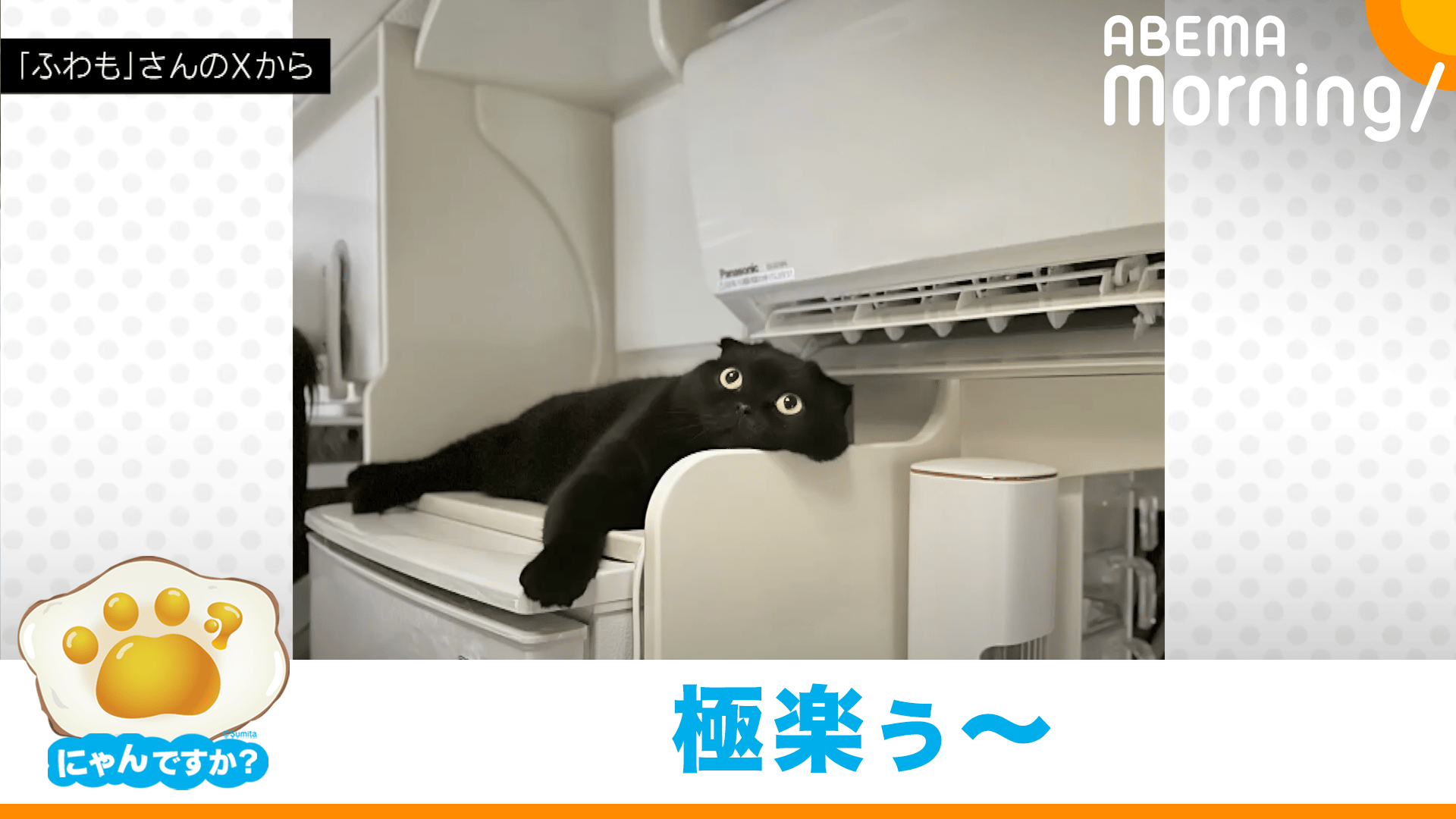 ネコです 軽い気持ちで描いたら思った以上に反響があった絵」タグにおそらく日本