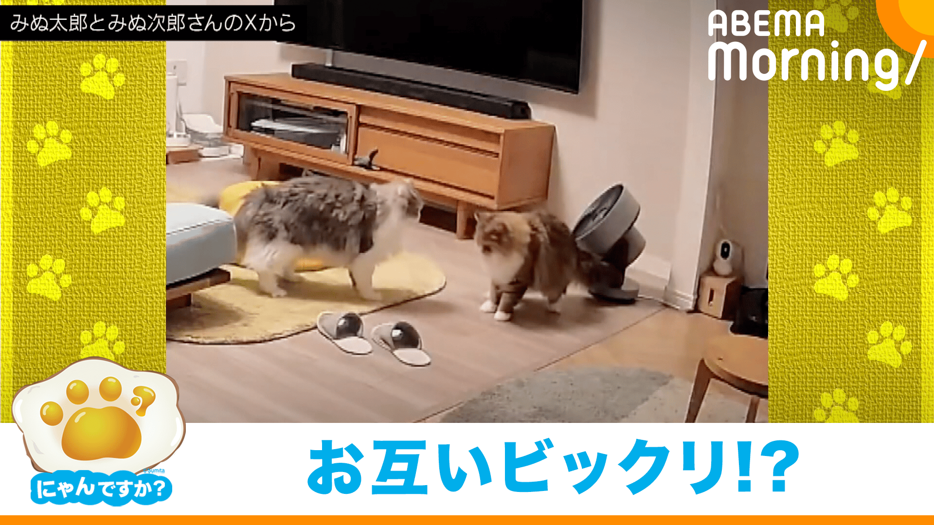 ねこじろう】北海道民芸家具【HM626】スピンドル ウィンザーチェア①