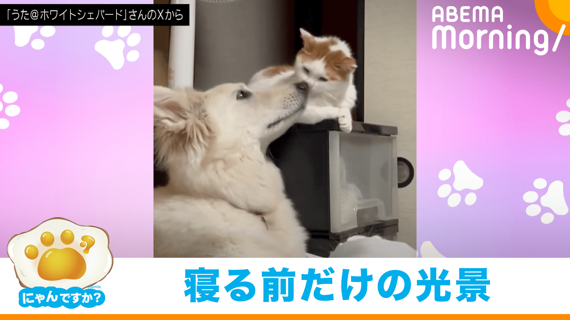 じばにゃんです hqdefault.jpg