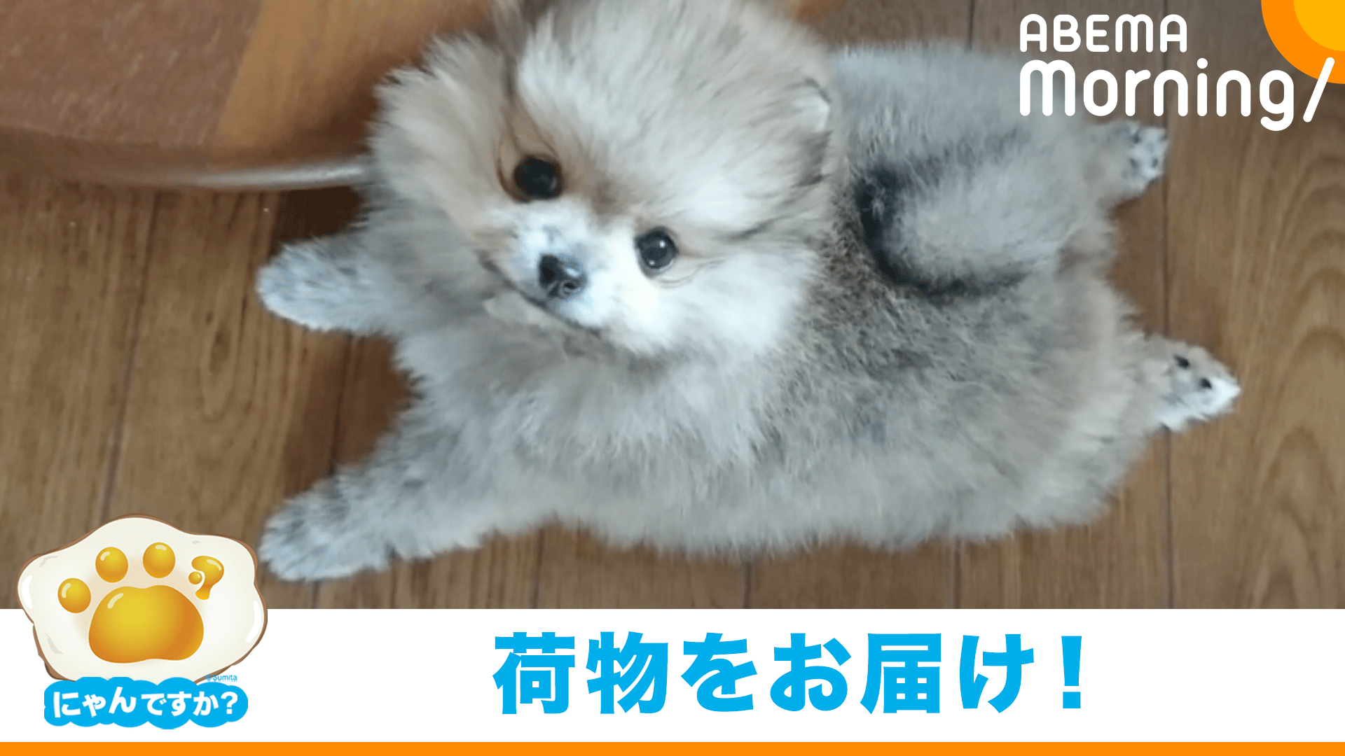 ピーチ　強運お守り　ポメラニアンパネル生地 86fe362976db2d470f58e4cbbca03c