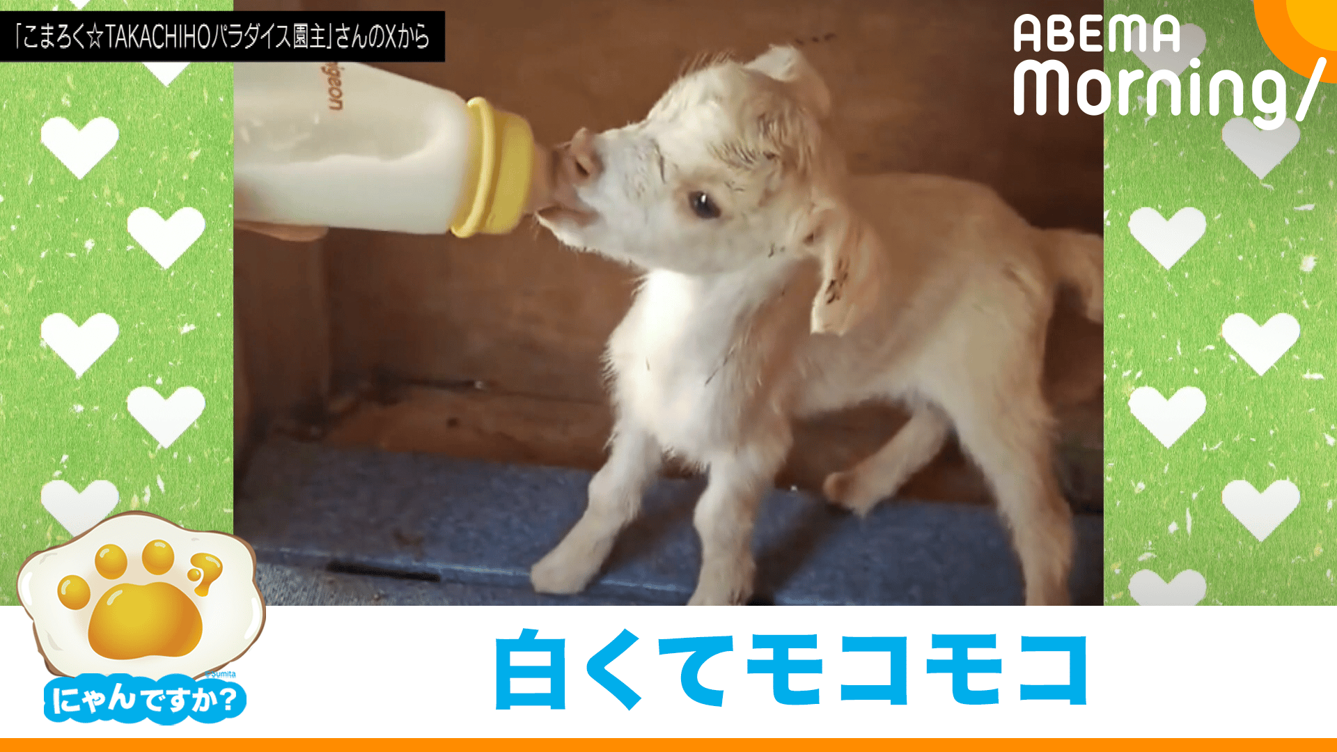まろ 確認用 イラストオーダー「やぎまろ様専用ページ。」 コヤギ 