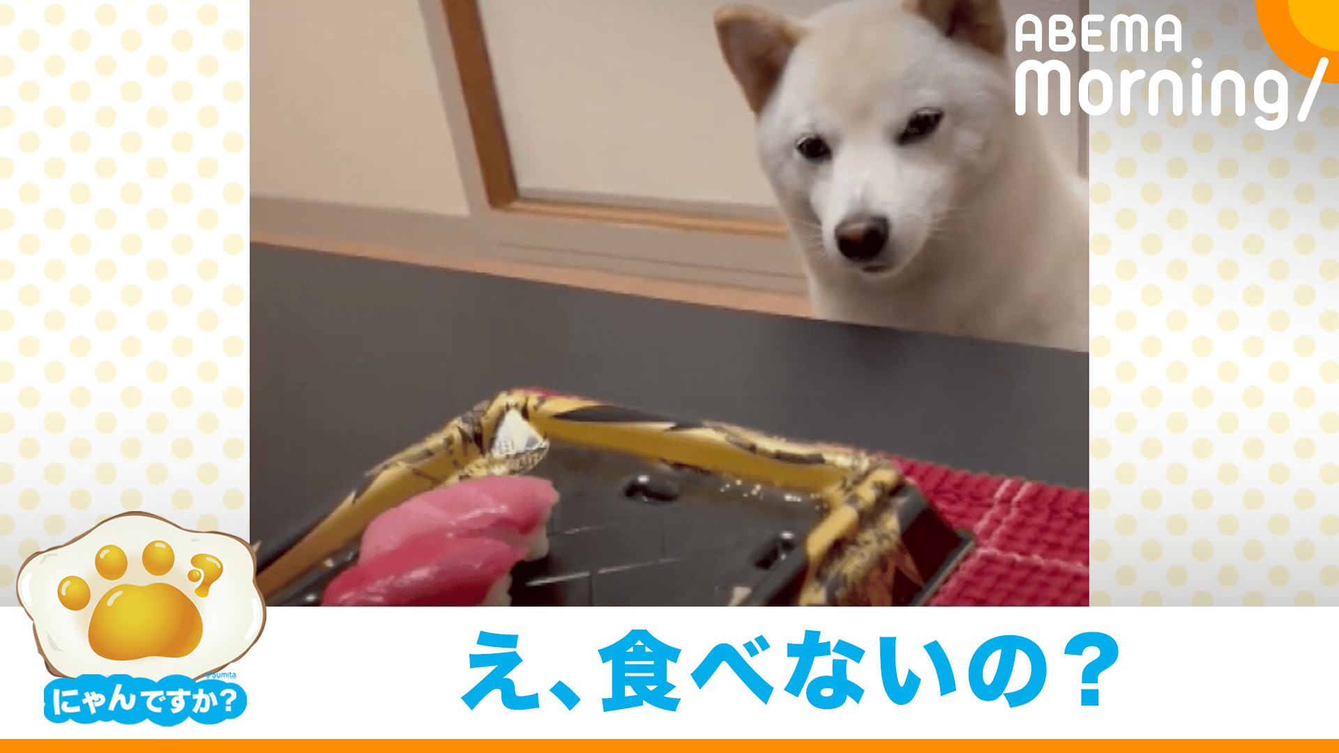 寿司2カン