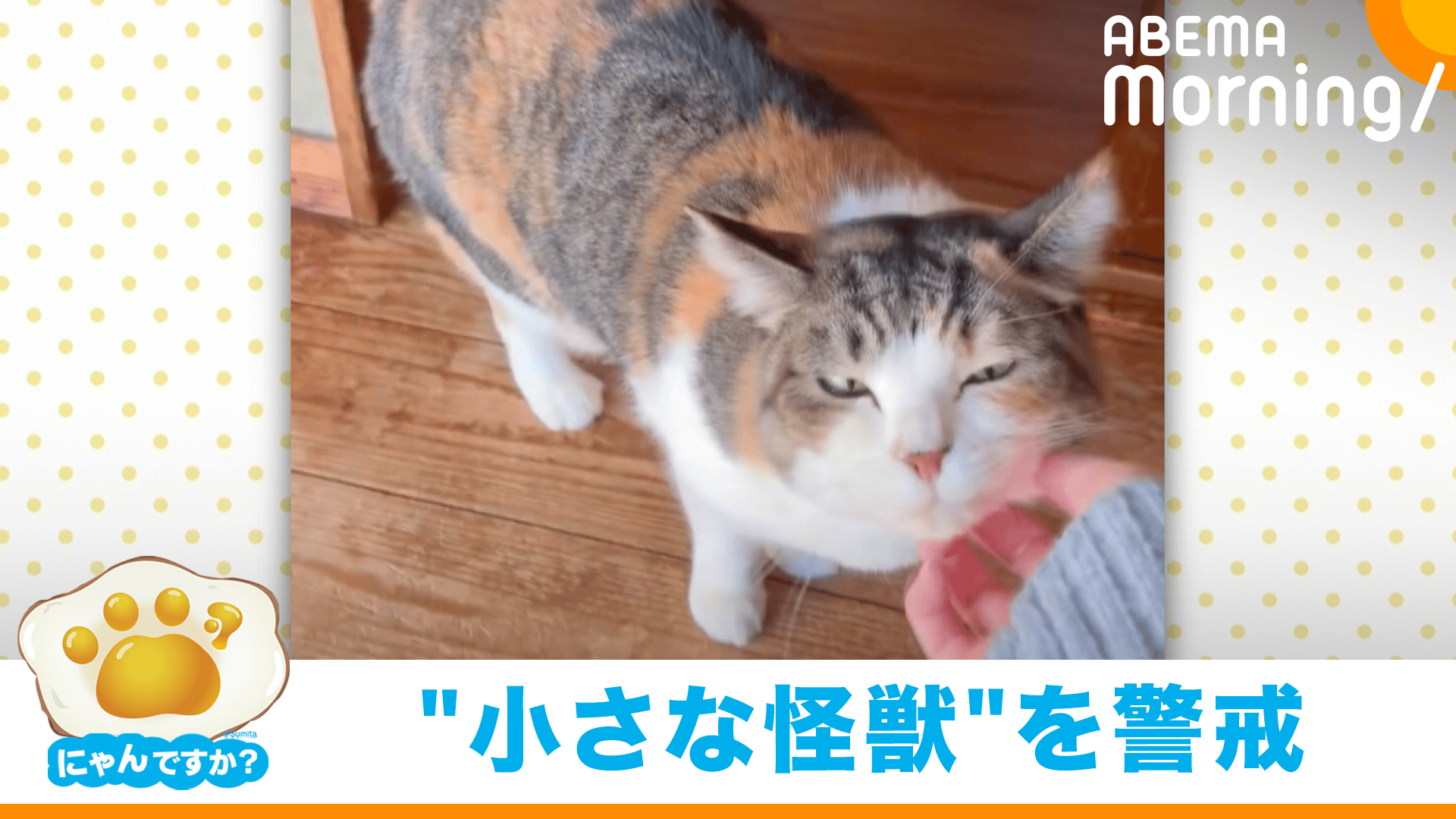 近づいてくる足音にそそくさと