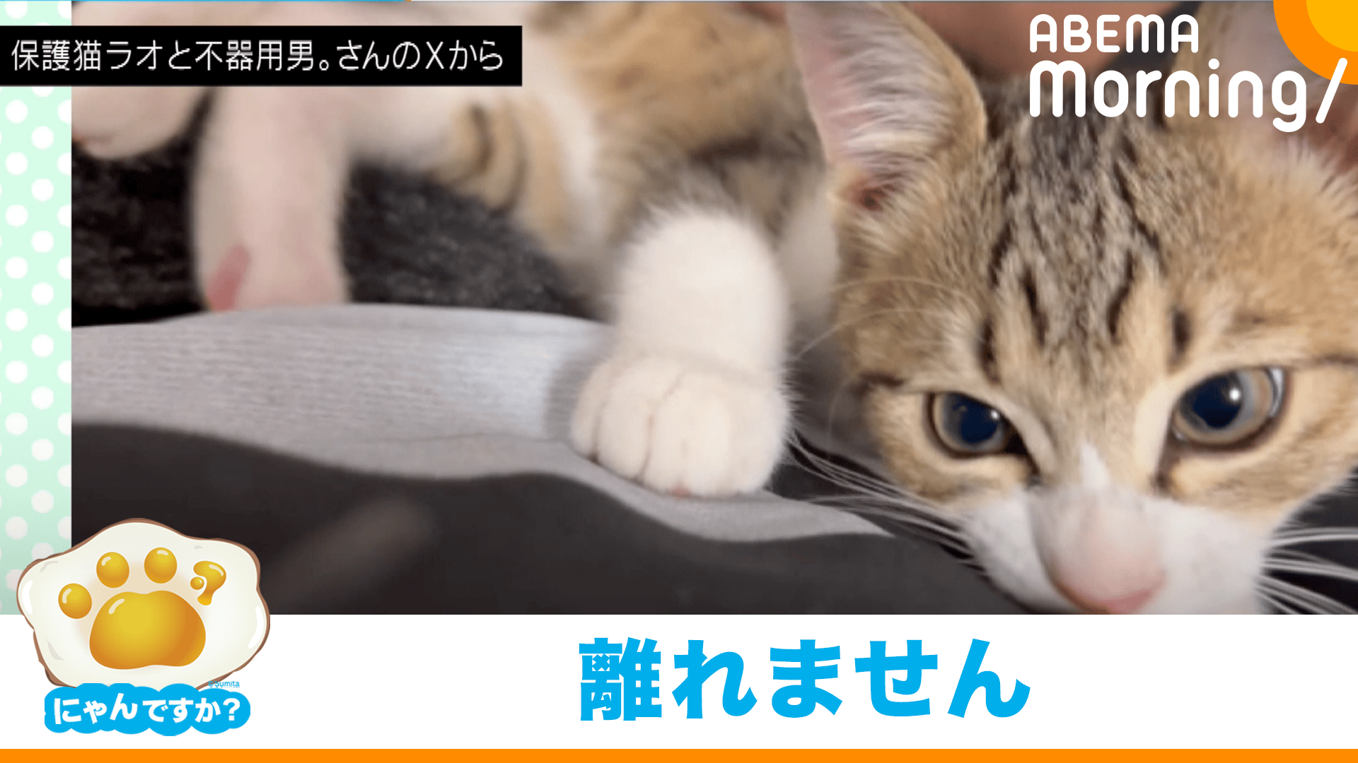 thumb001.png?height=720&