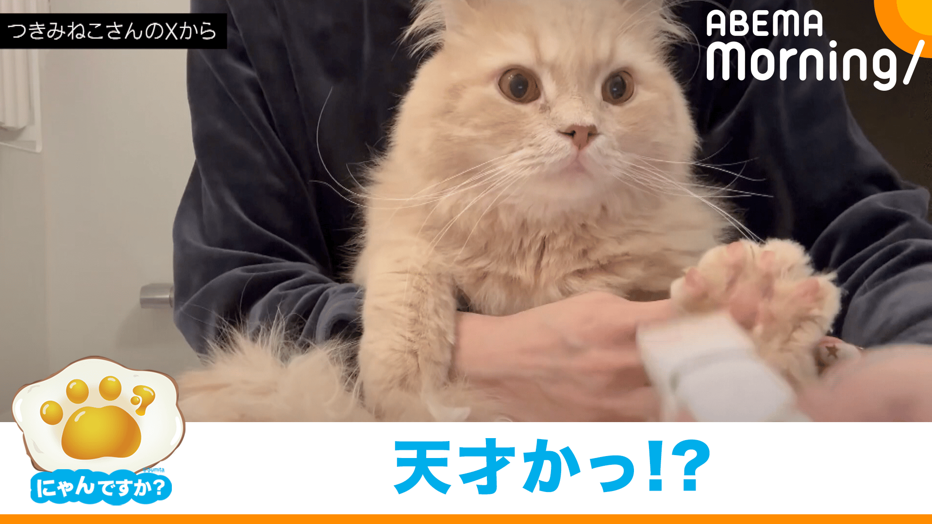 thumb001.png?height=720&