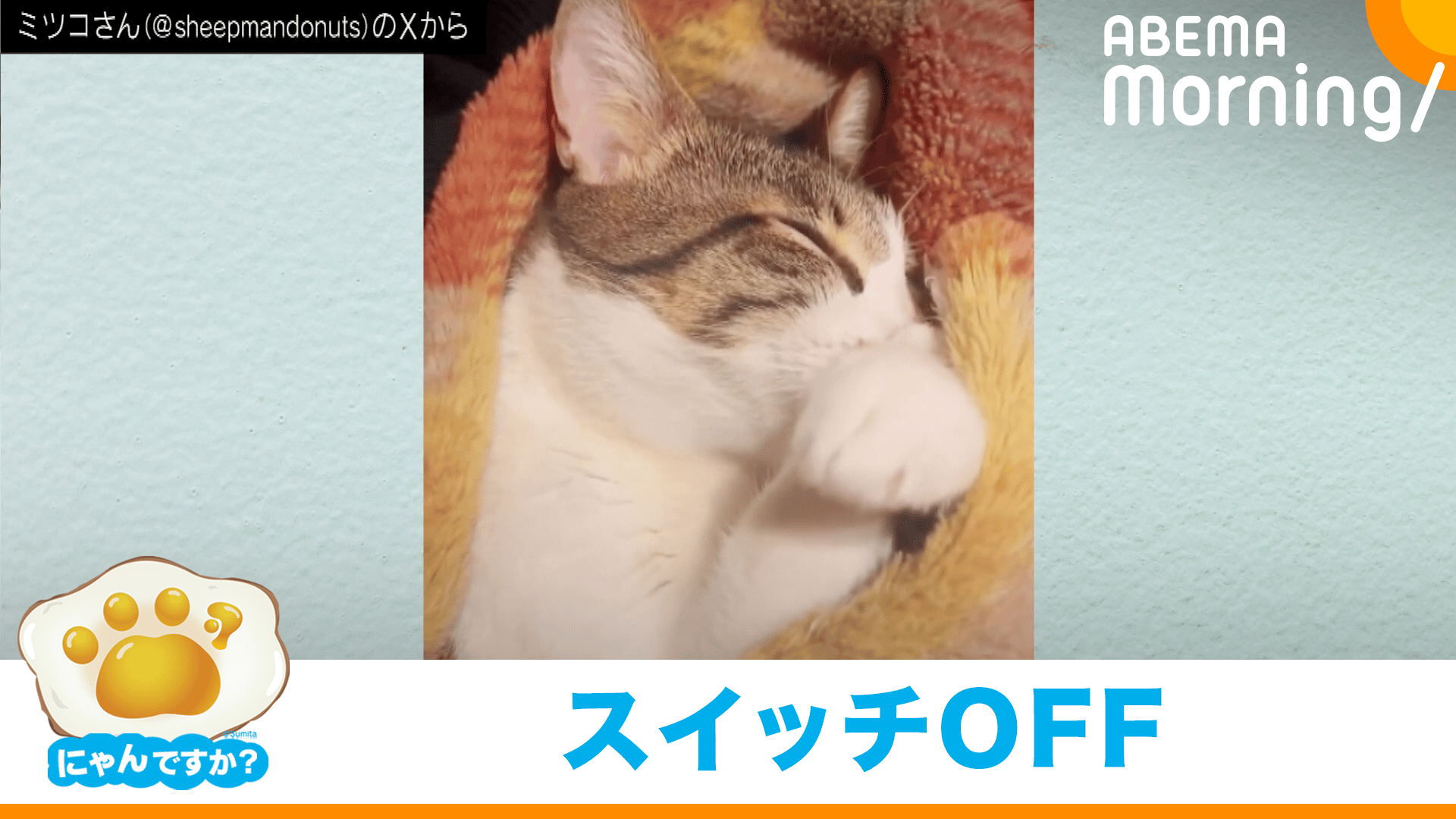 肉球吸っていたと思ったら…突然"電池切れ"するネコ｜にゃんですか