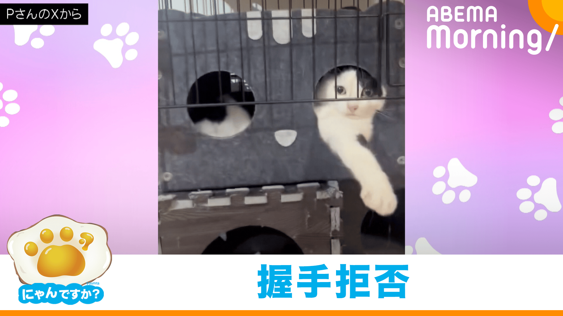 "伸ばした手"に誘われ… 握手会かと思ったのに