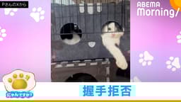 "伸ばした手"に誘われ… 握手会かと思ったのに