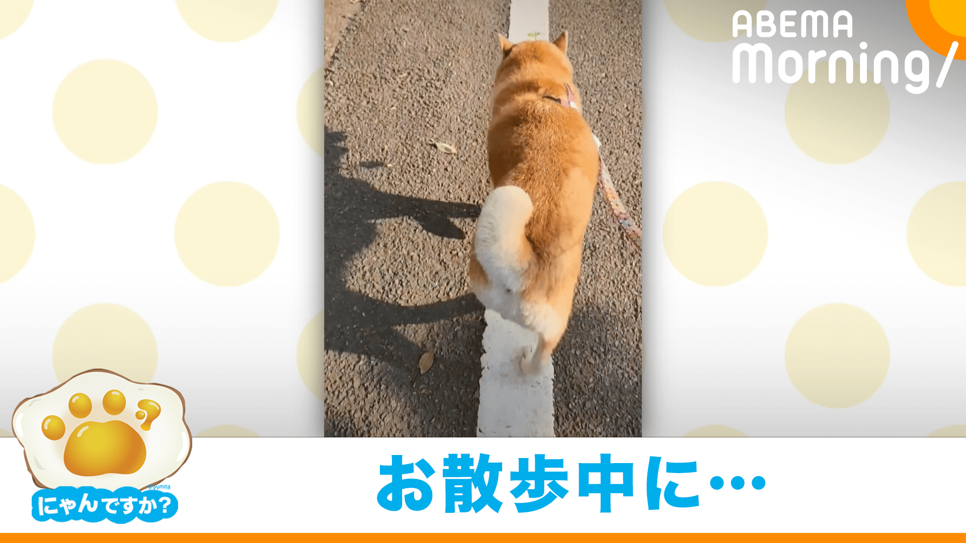 鉄骨渡り