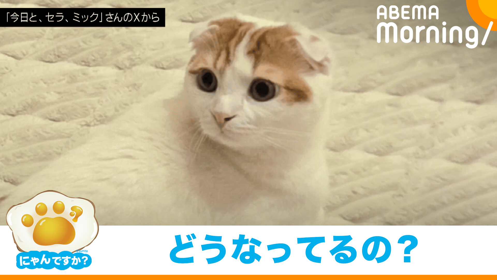 難解な体勢