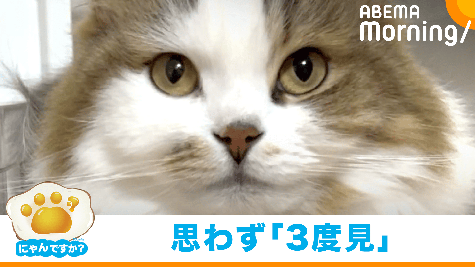 縮尺おかしくない？体が