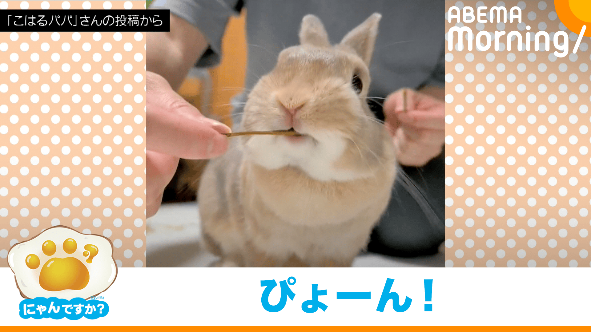 thumb001.png?background=000000