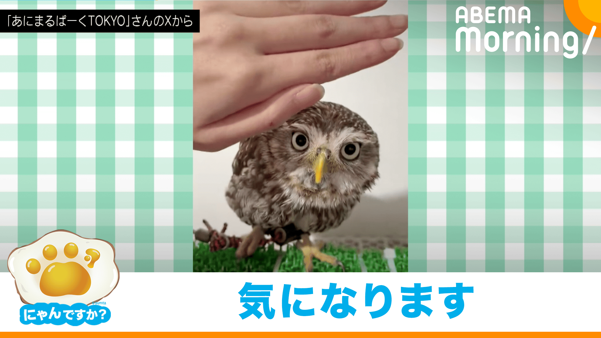 thumb001.png?height=720&