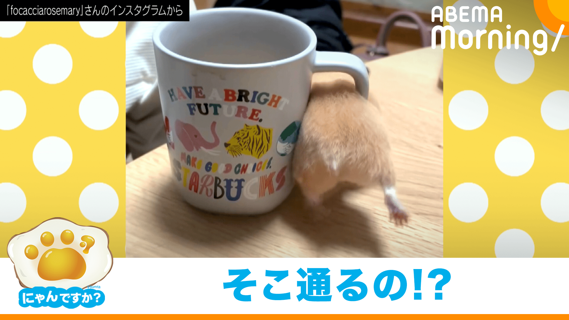 thumb001.png?height=720&