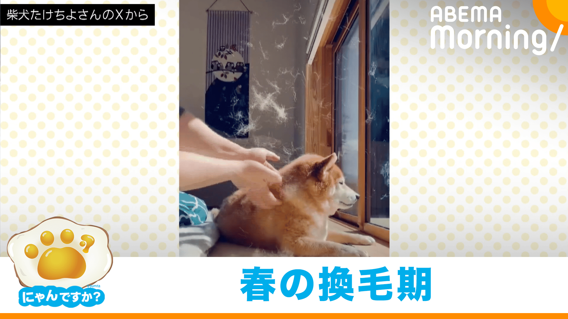 縮尺おかしくない？体が