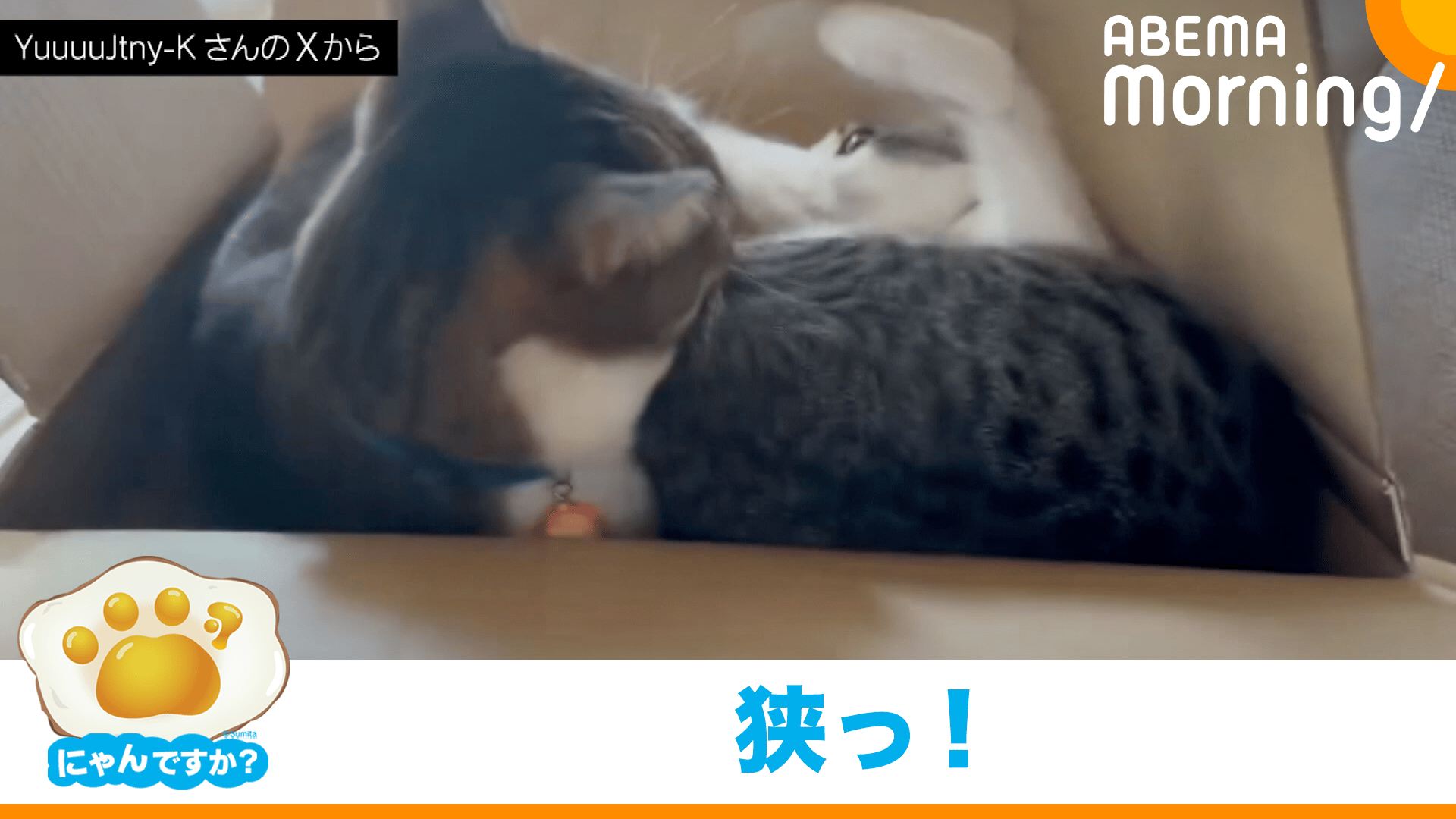 縮尺おかしくない？体が