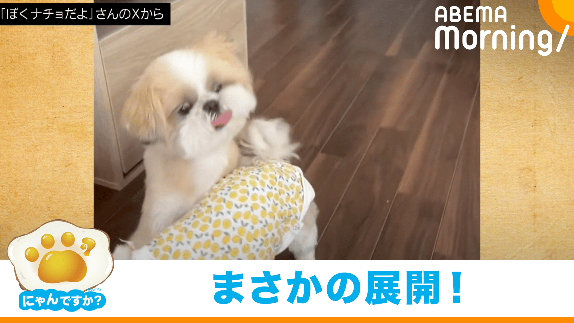 thumb001.png?height=720&