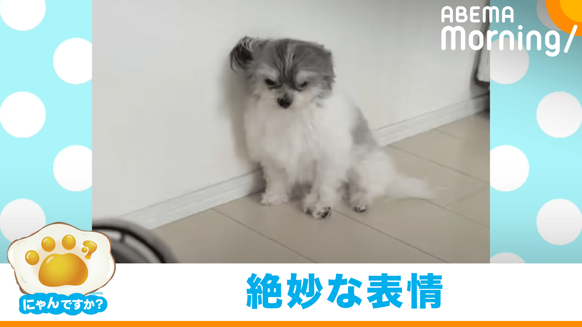 ドライヤーで乾かすときは…