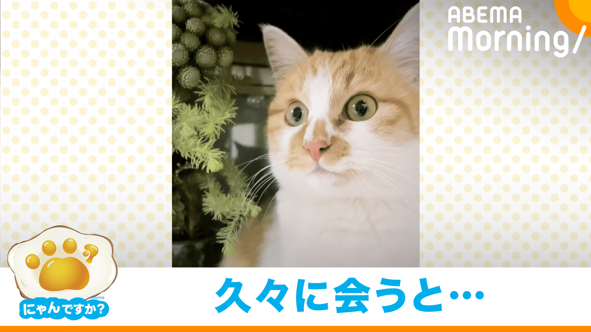 お母さんに強気