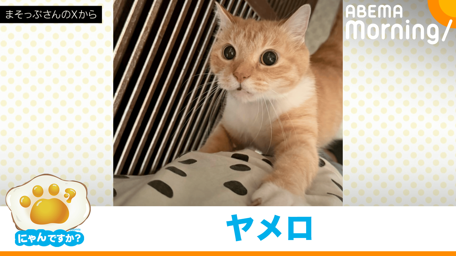 縮尺おかしくない?体が