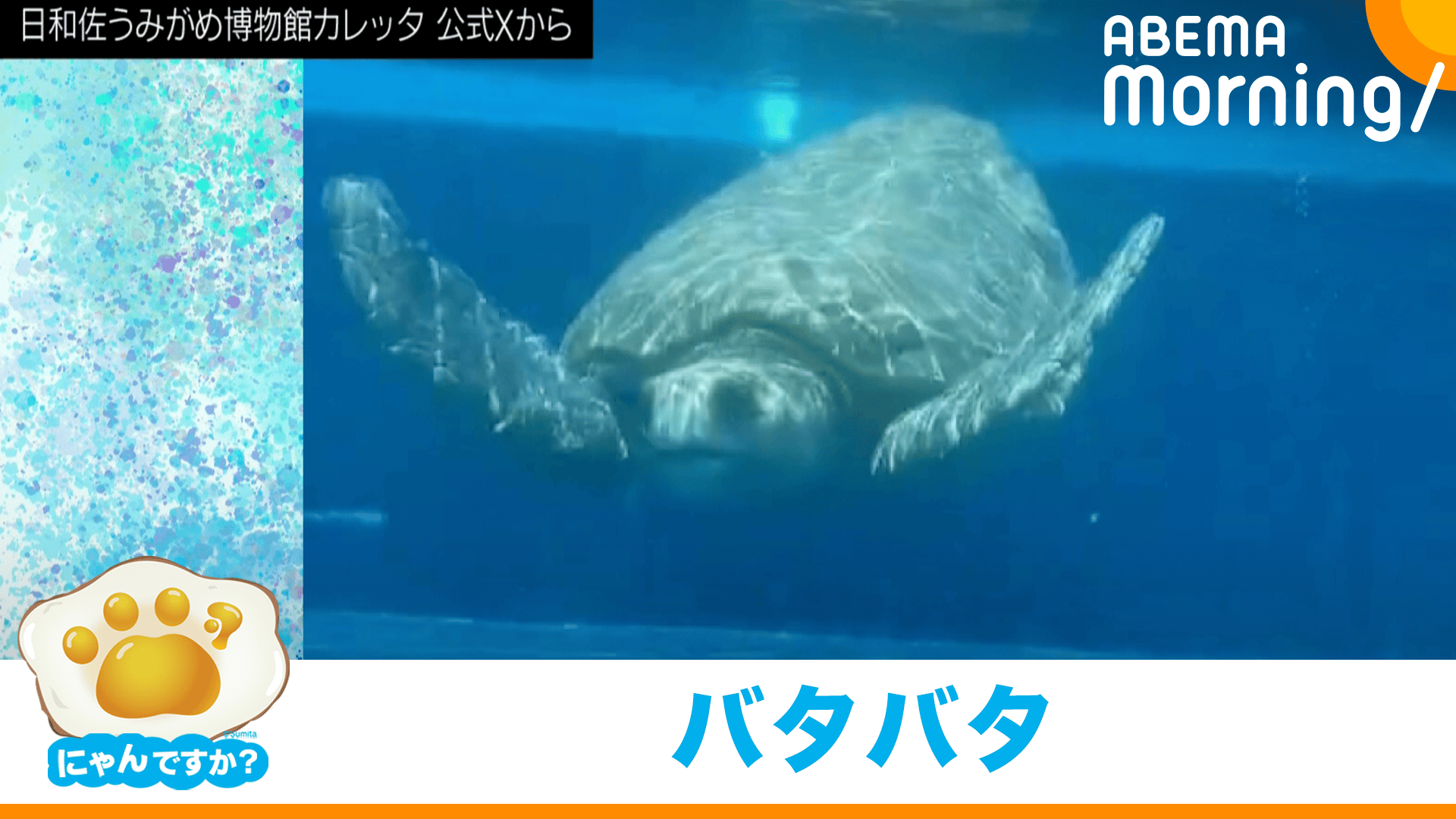 縮尺おかしくない?体が