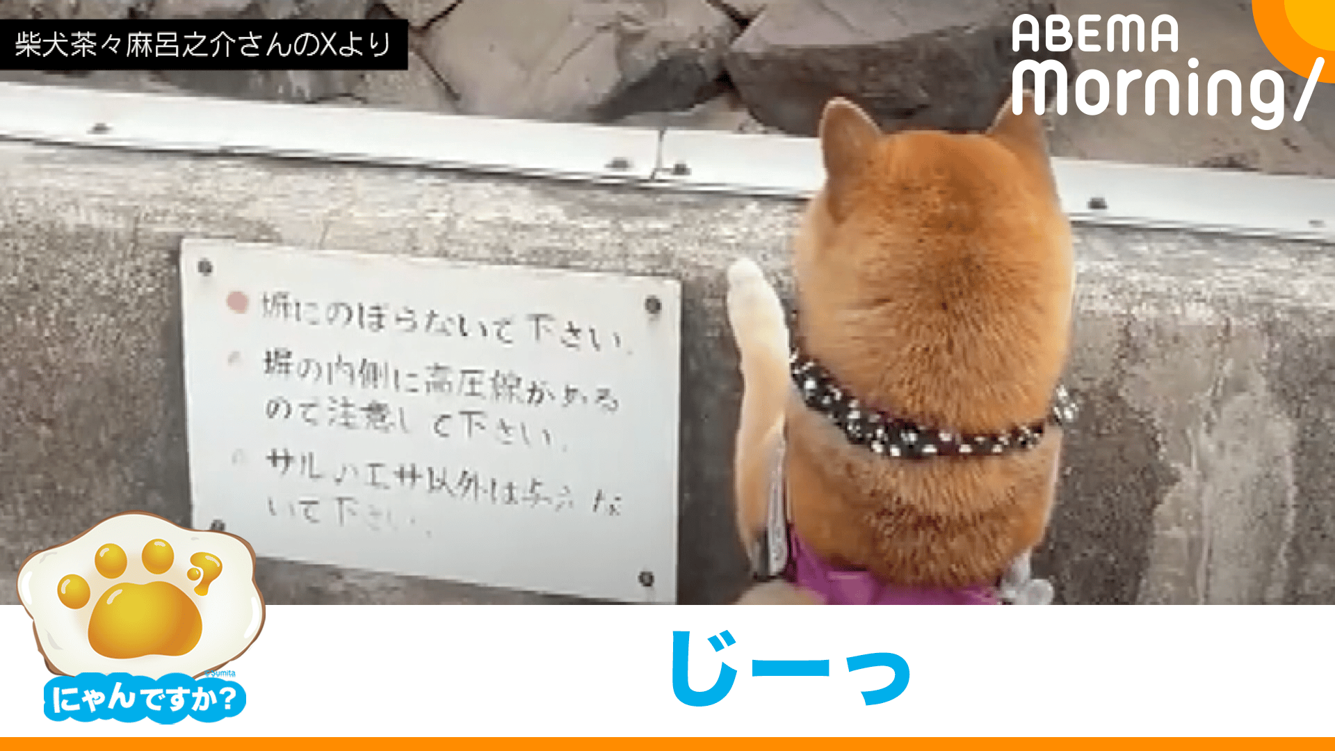 犯人は
