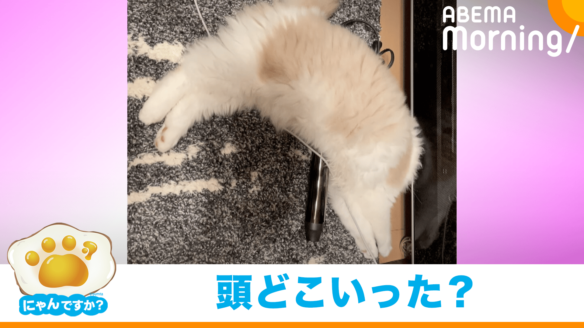 thumb001.png?height=720&