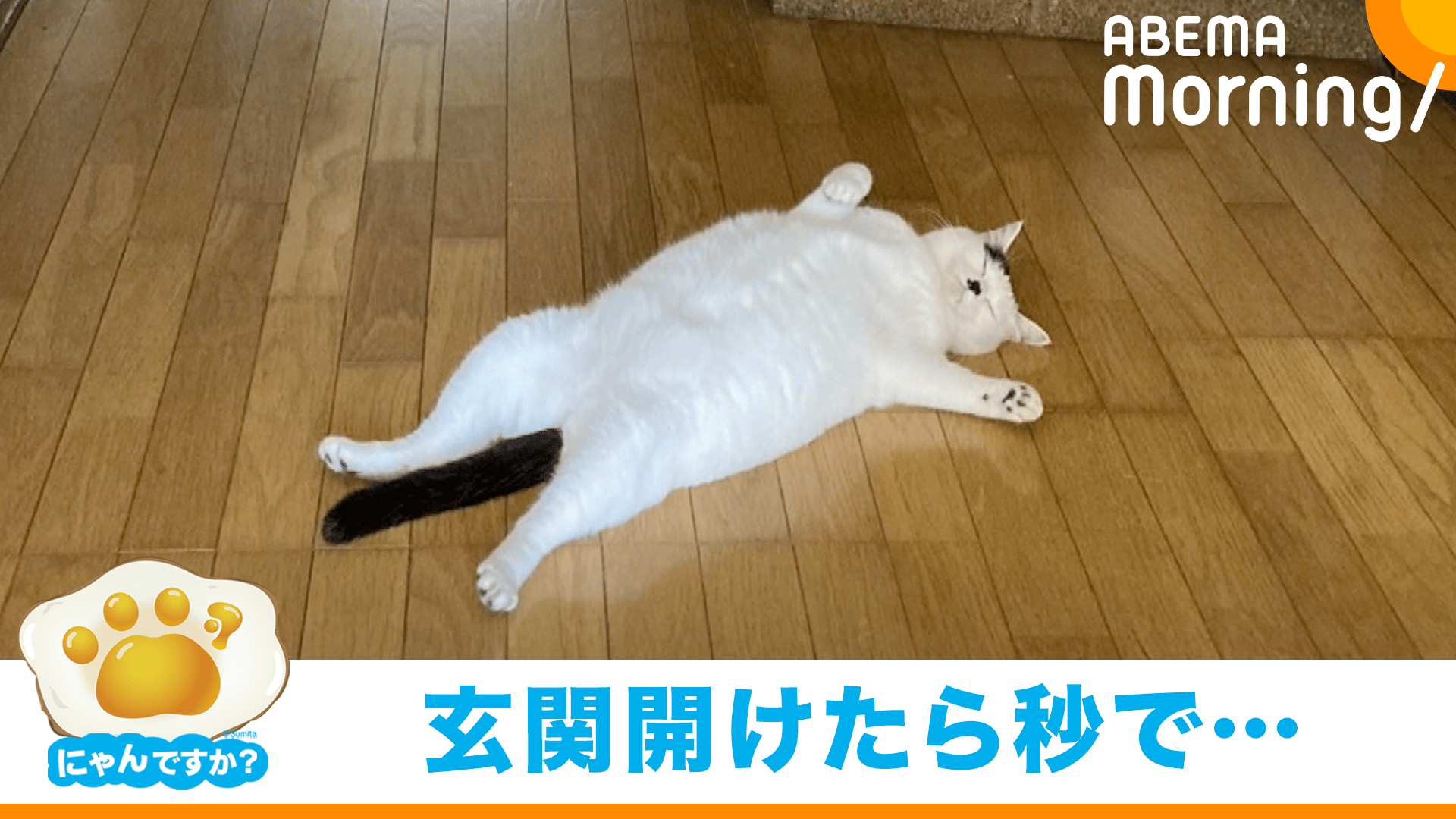 thumb001.png?height=720&
