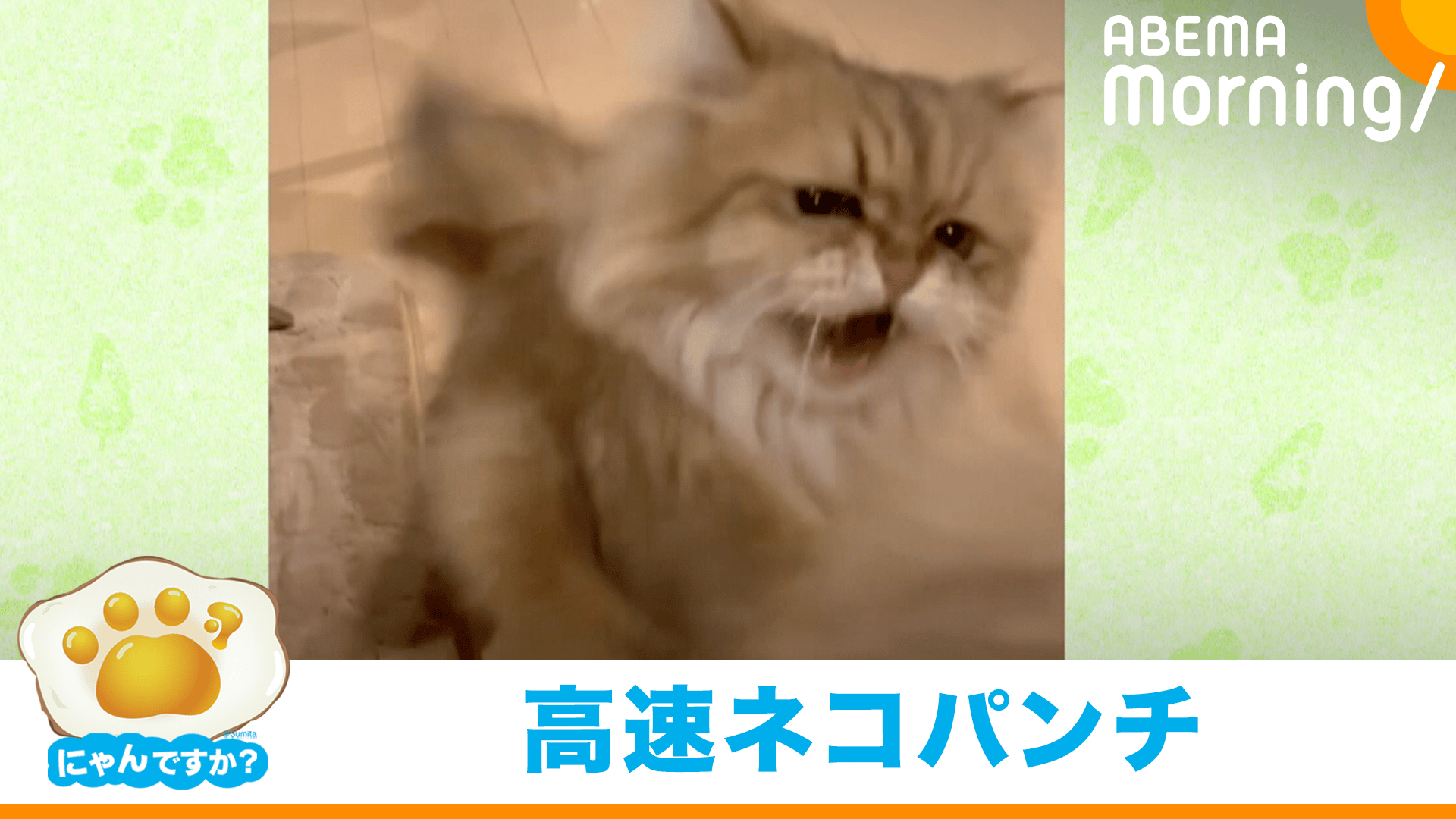 なぜか