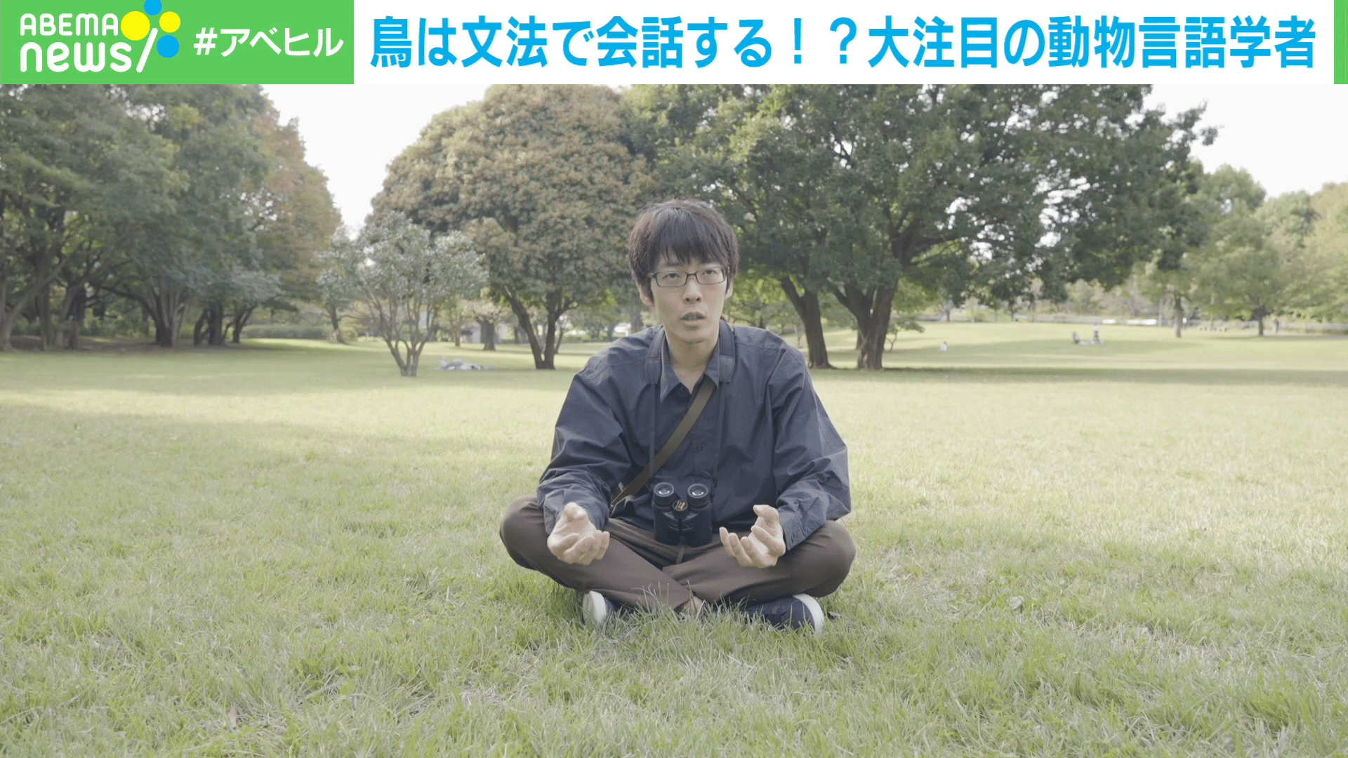 鳥は文法で会話する!?大注目の動物言語学者