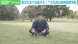鳥は文法で会話する!?大注目の動物言語学者