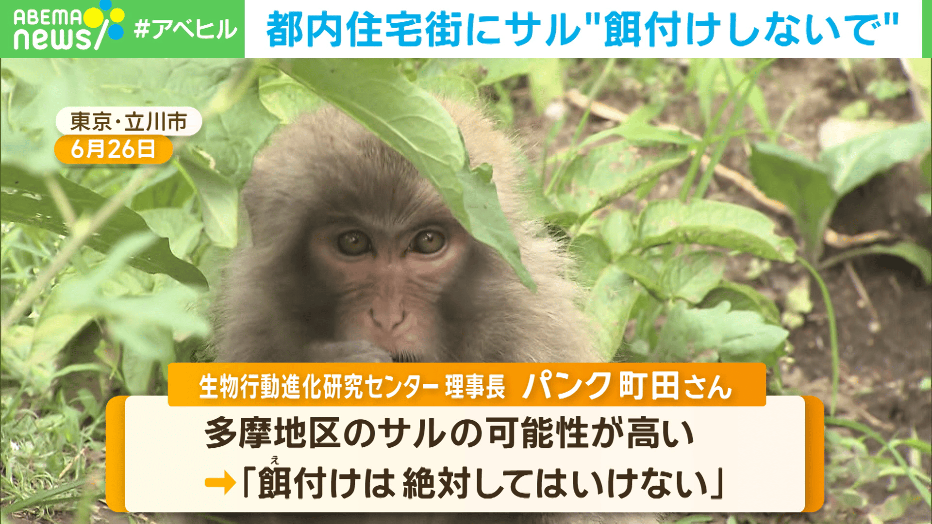 thumb001.png?height=720&