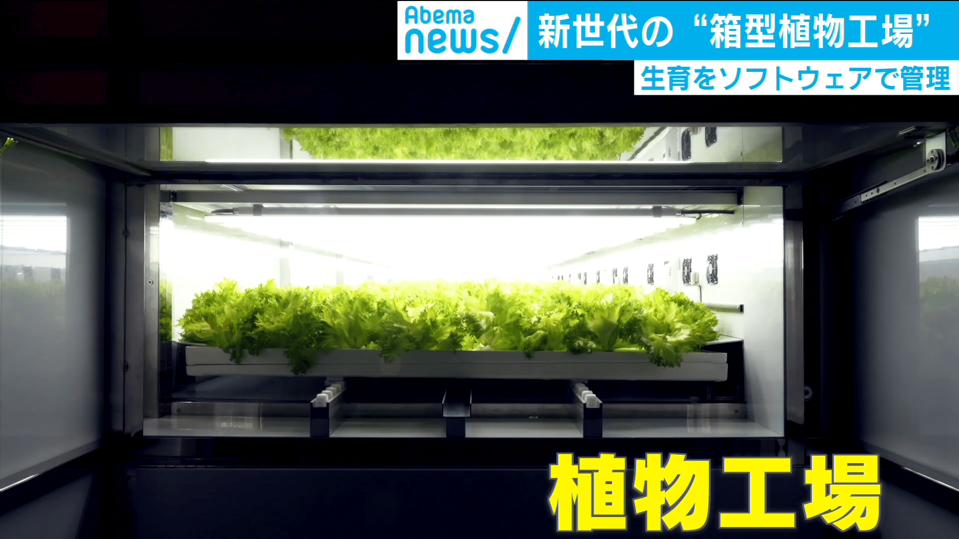 問題をITで解決”ディープテック”の未来