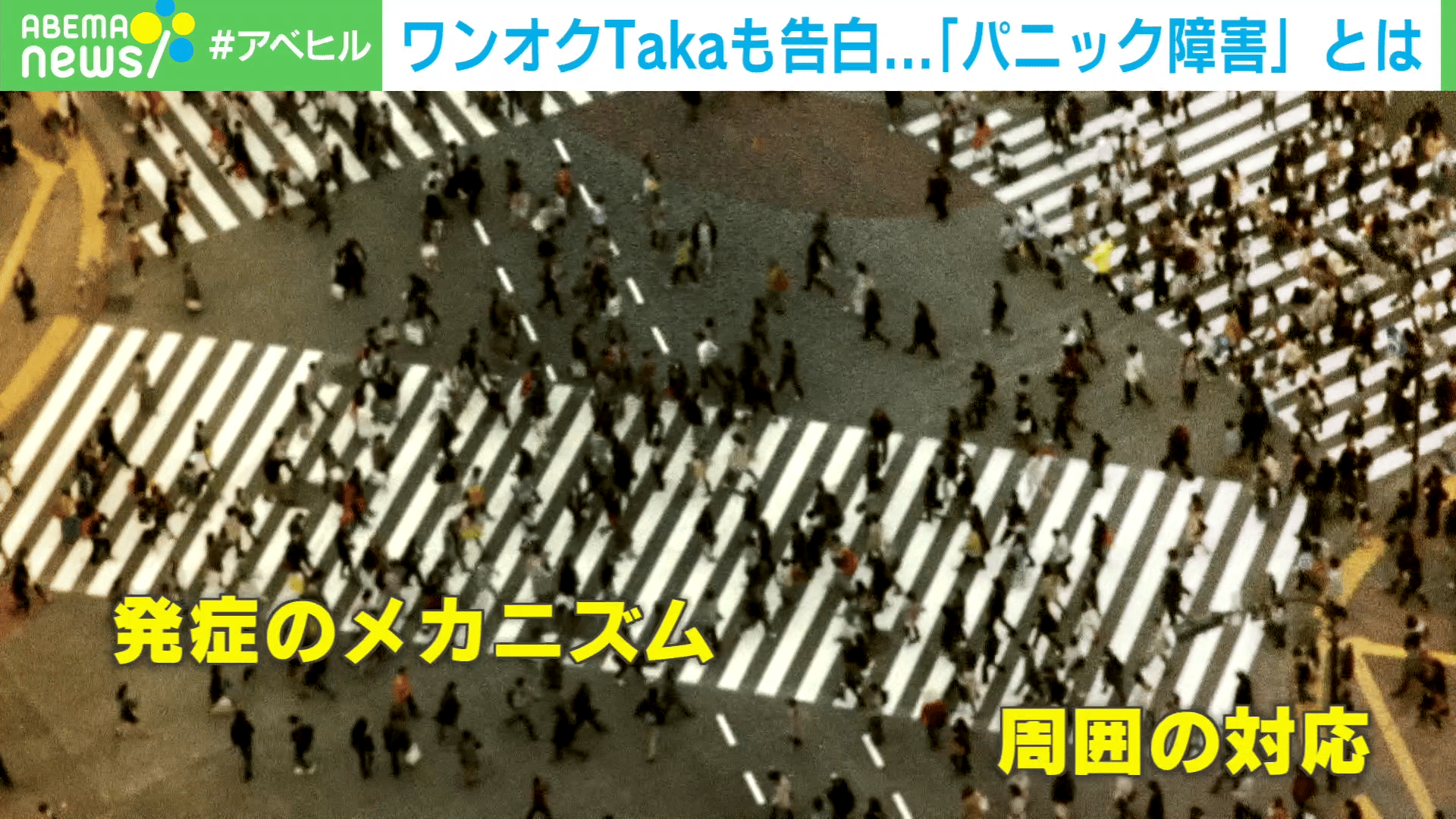 thumb001.png?height=504& 