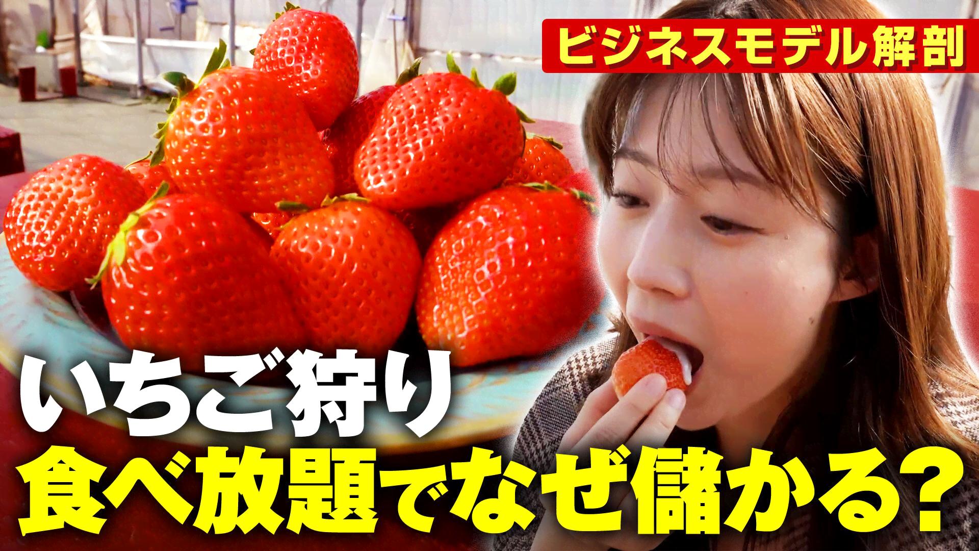 いちご狩り 食べ放題でなぜ儲かる? ビジネスモデル解剖 - ABEMA的