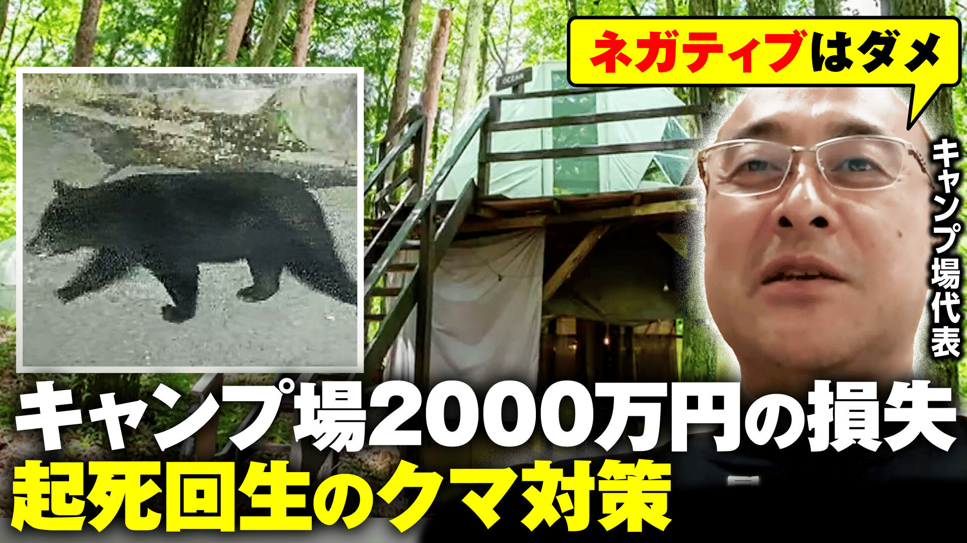 キャンプ 熊 死亡