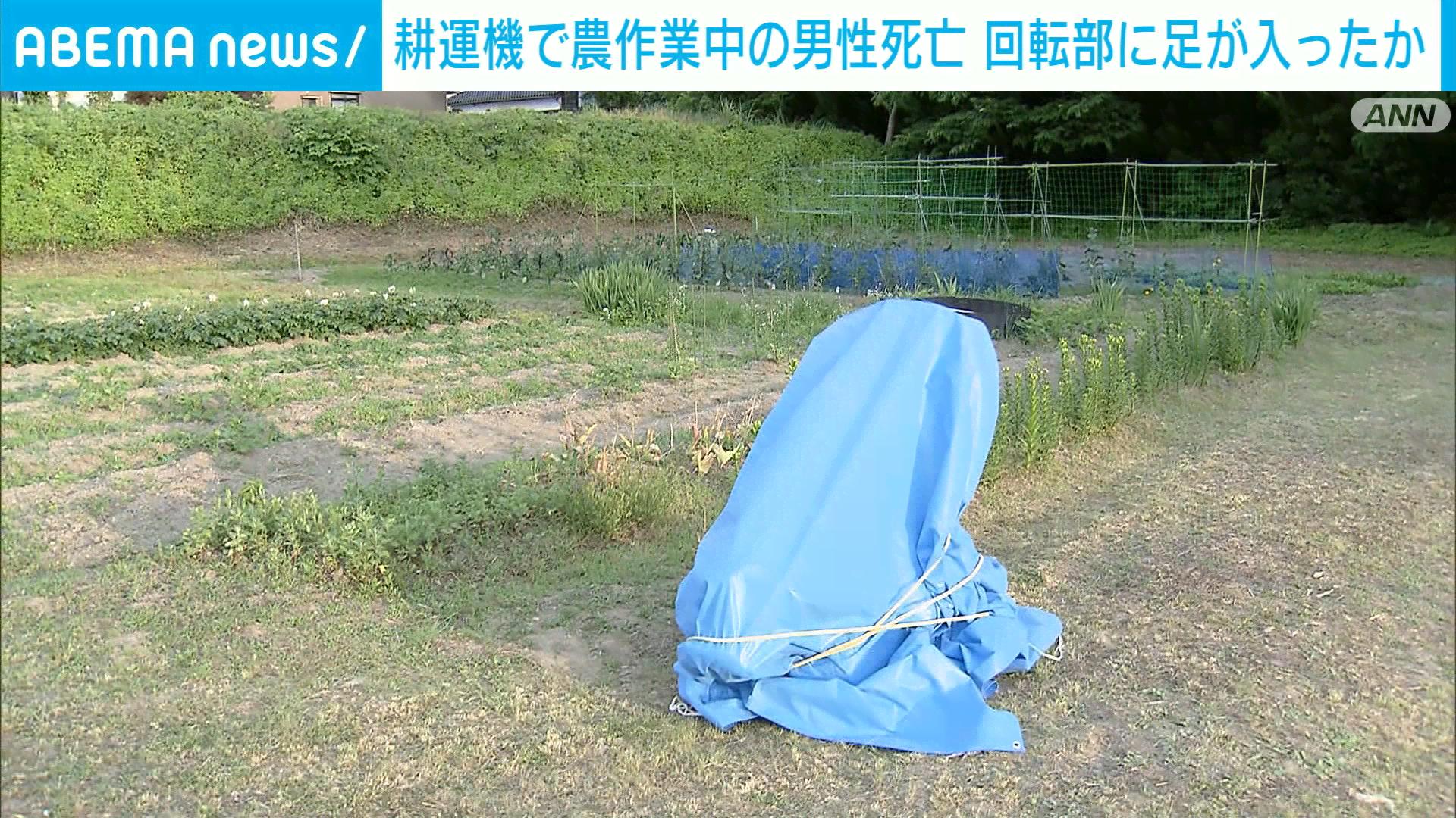 NHKɎX 226081 ܂ ->摜>10 
