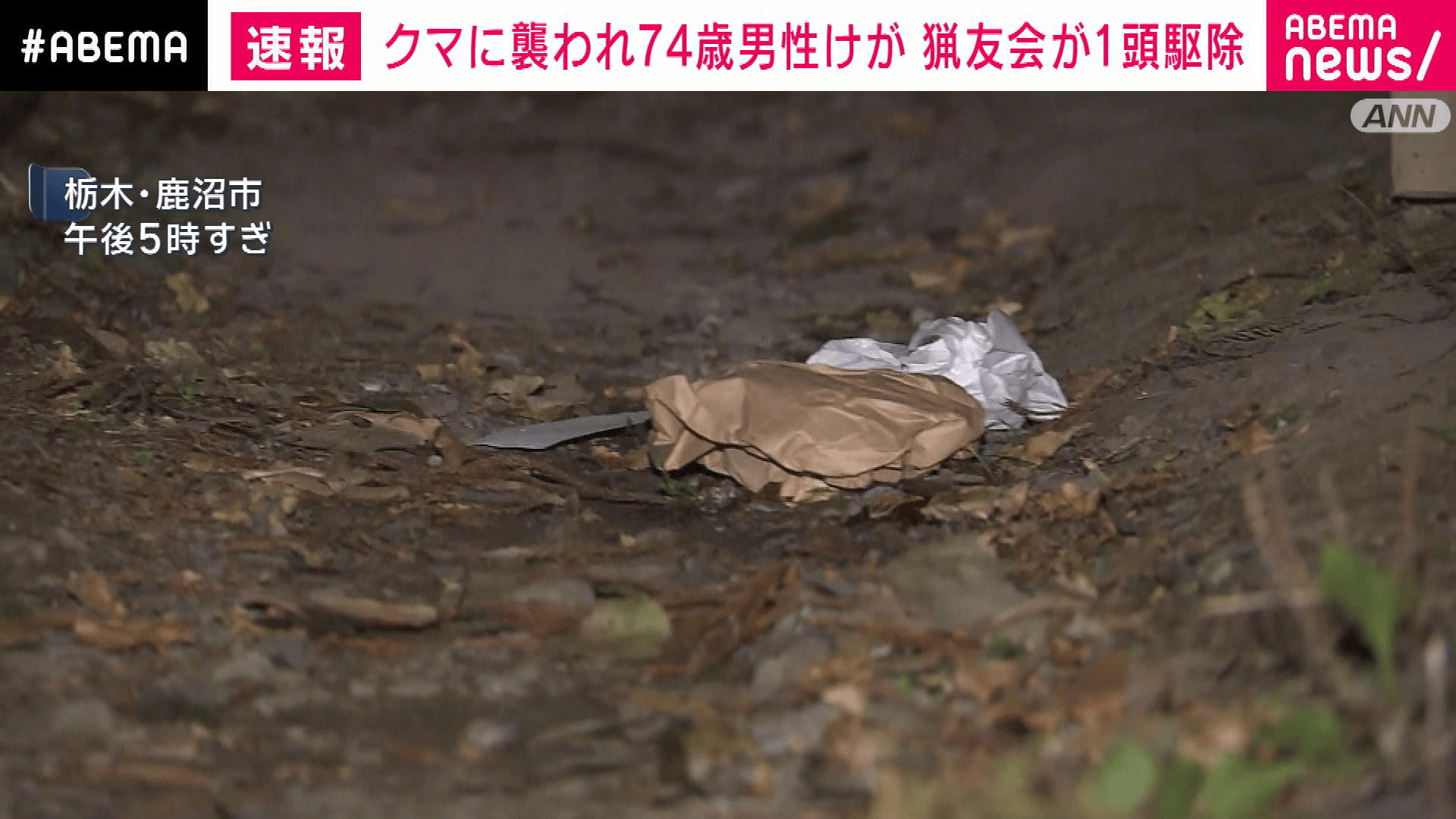 74歳男性が庭先でクマに襲われけが 栃木・鹿沼市 - 【アベマ厳選】注目