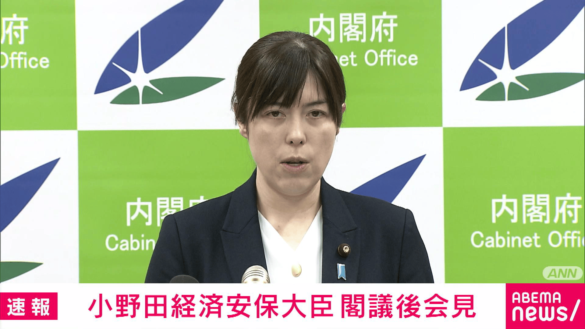 小野田大臣 閣議後会見 生成AI動画拡散に政府の対応は