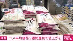 コメ平均価格5キロあたり4204円 2週連続値上がり