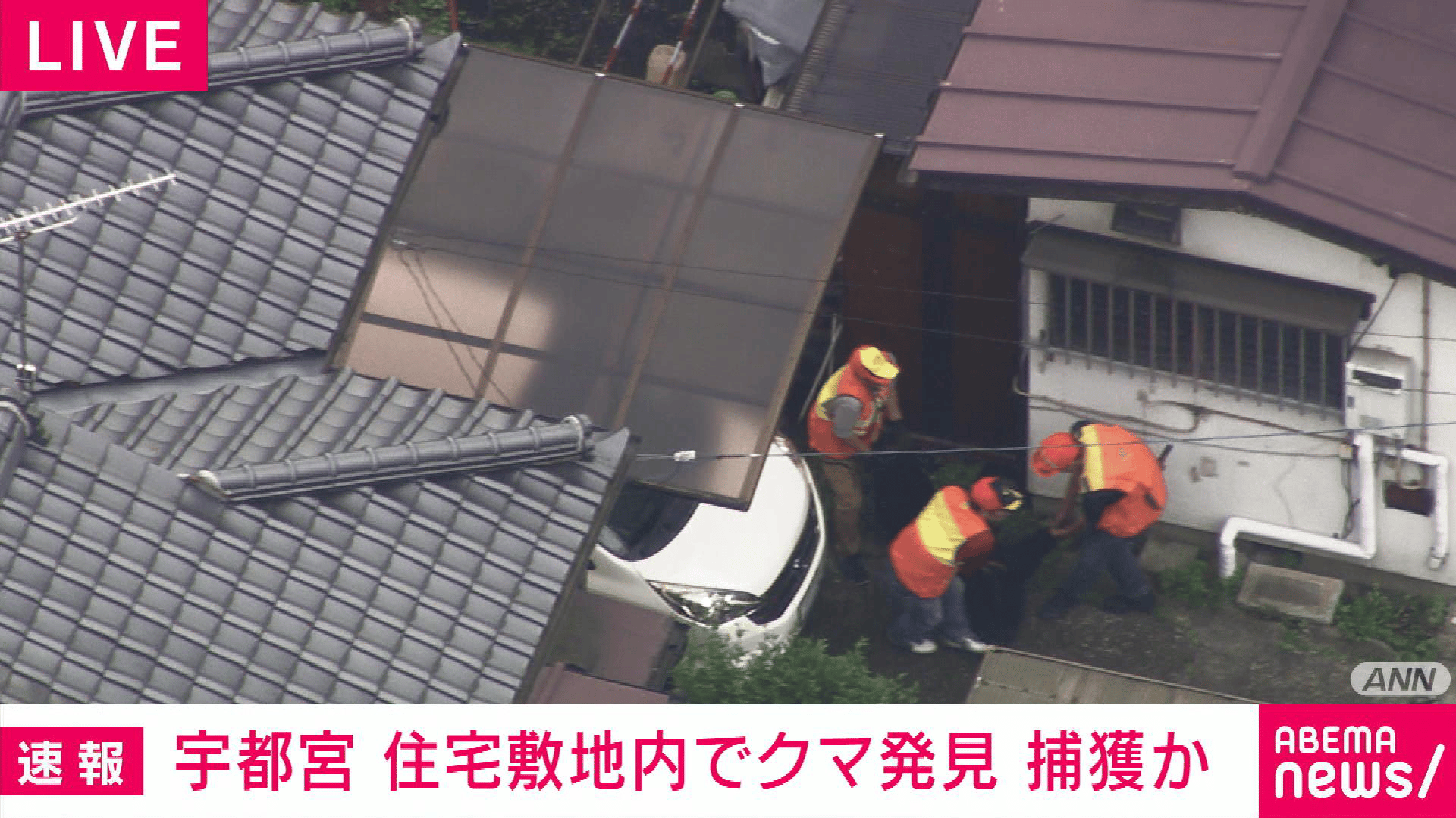 たまくま　発送予定日3/3 宇都宮 住宅敷地内でクマ発見 捕獲 - 【アベマ厳選】注目の最新&独自