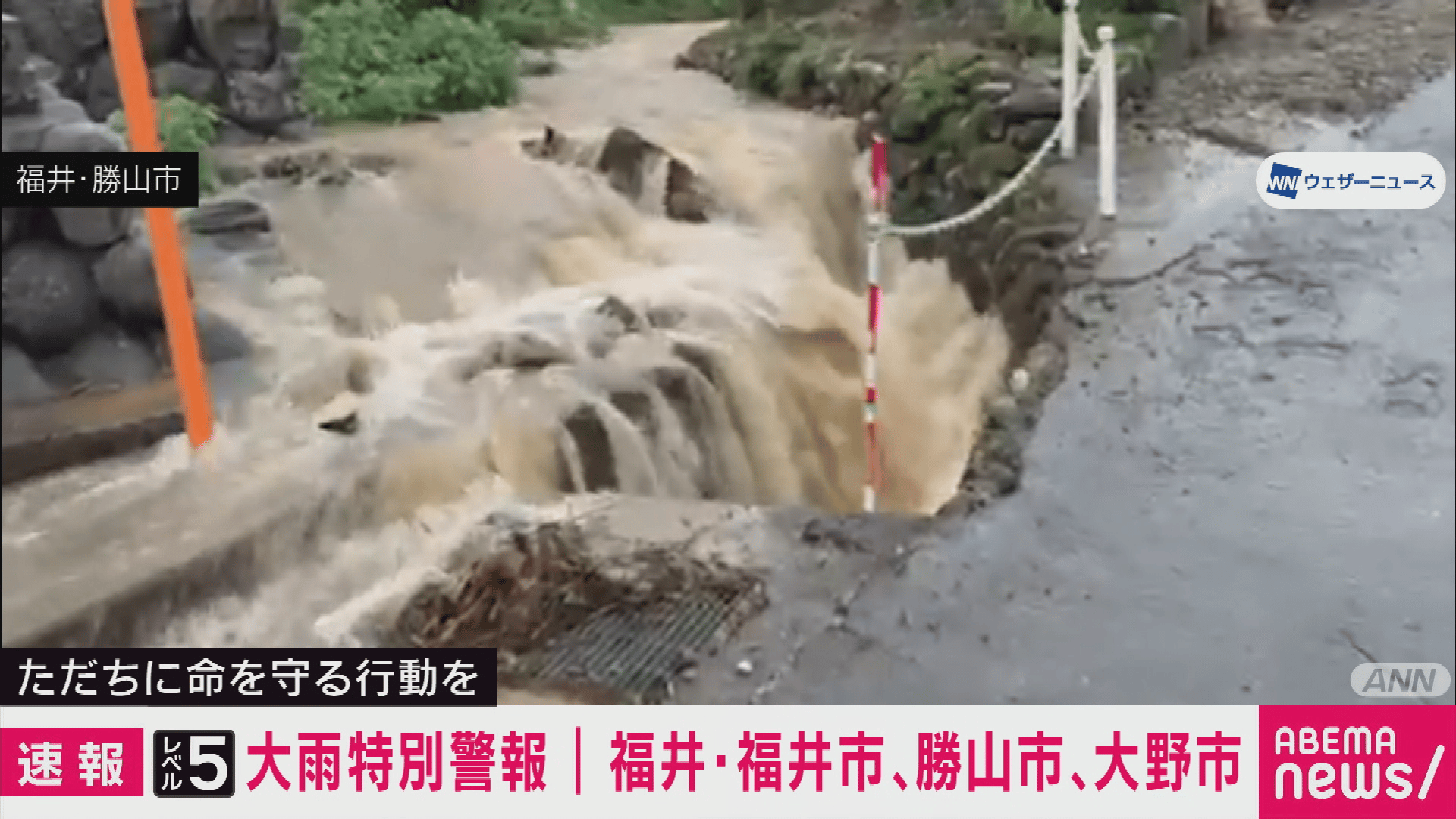 福井 の ニュース