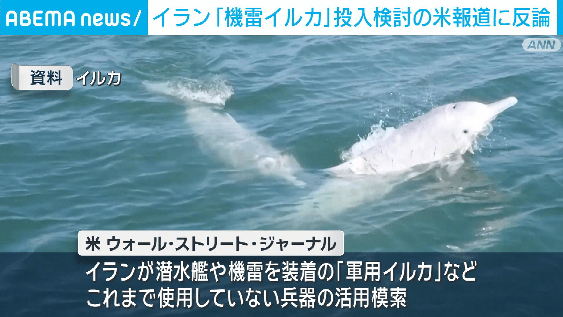 イラン「イルカ機雷」報道に反論