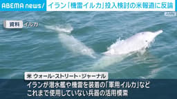 イラン「イルカ機雷」報道に反論