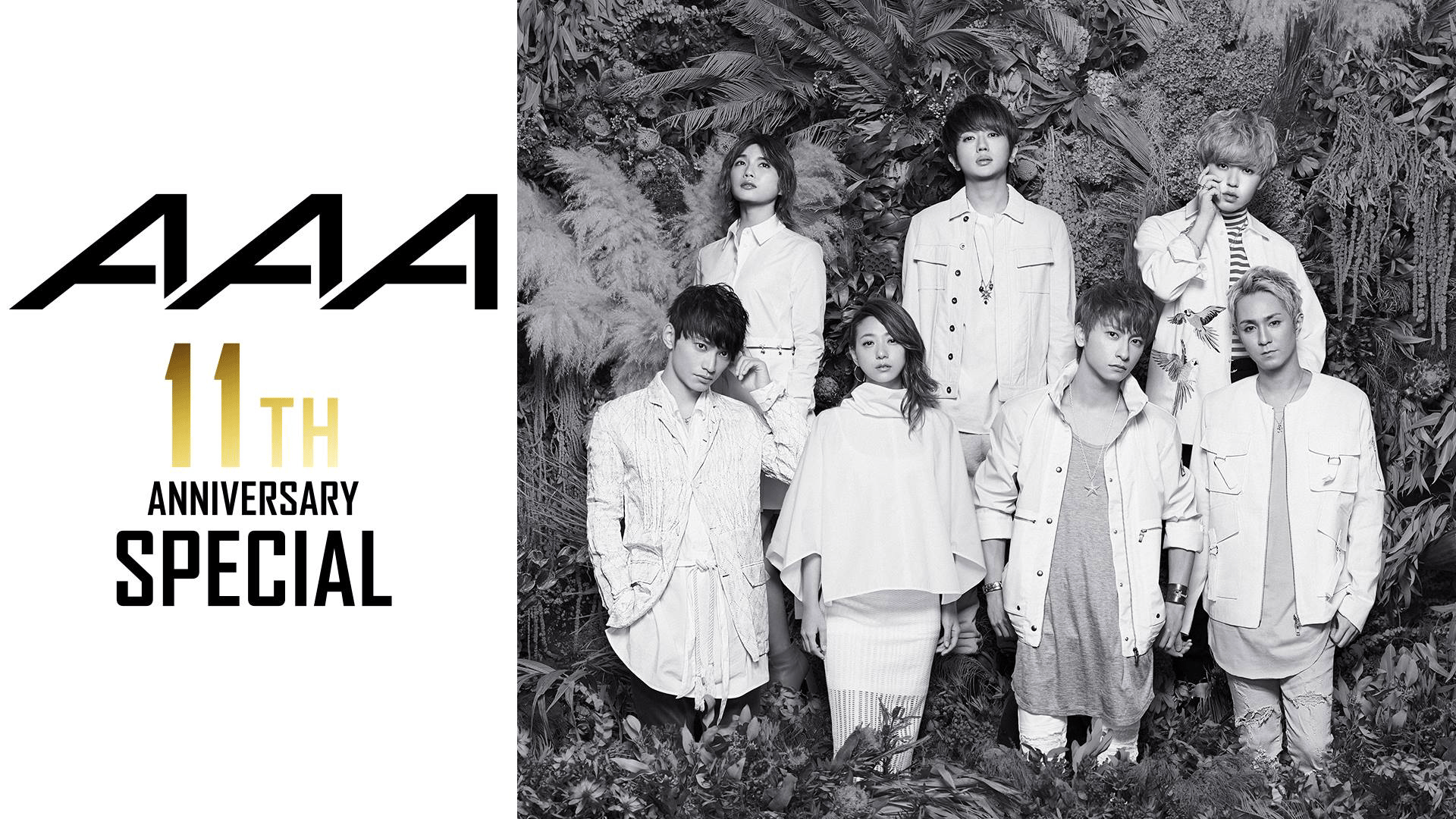 AAA 11th ANNIVERSARY SPECIAL