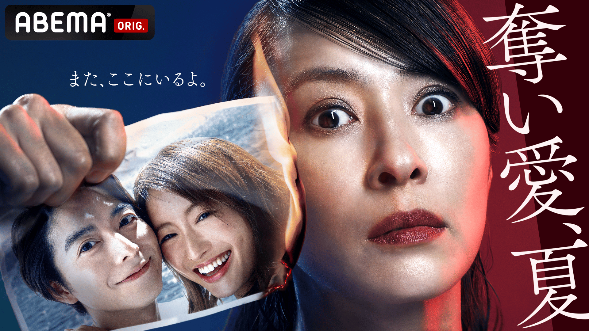 奪い愛、夏#1~4【シリーズ最新作「奪い愛、高校教師」12/27~4夜連続放送】