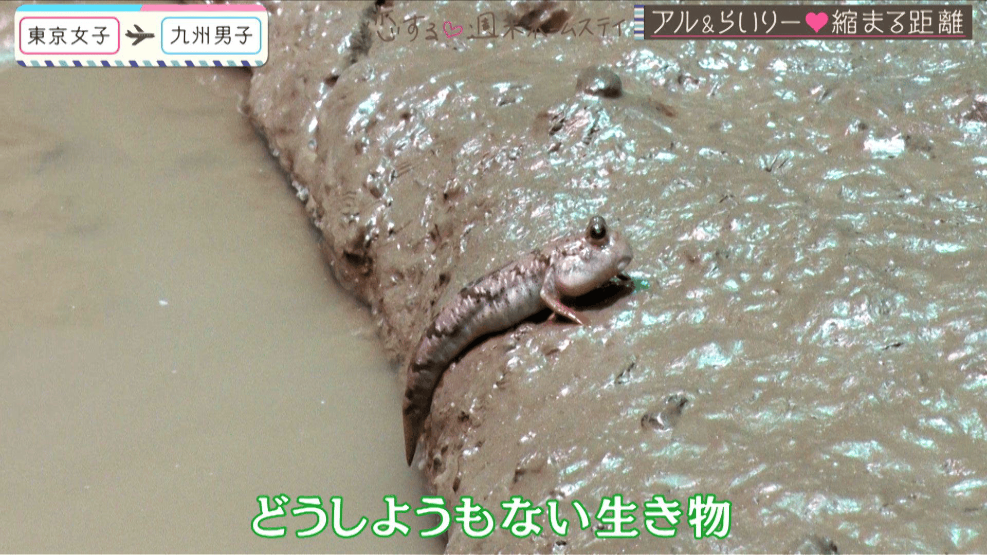 #4 追いつかない恋のスピード