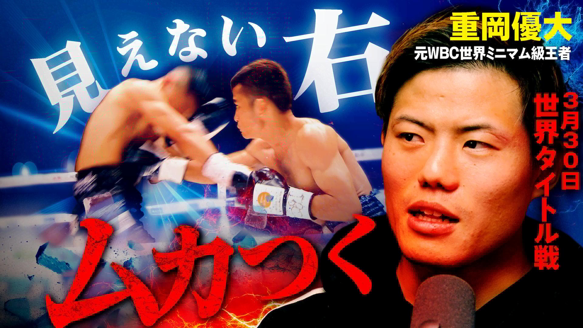 亀田興毅 3150シリーズ - 3150 × LUSHBOMU vol.4&vol.5 ~2DAYS~ - 優大