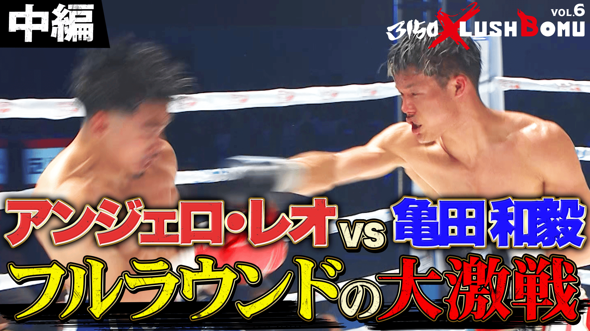 亀田興毅 3150シリーズ - 3150 × LUSHBOMU vol.6 - アンジェロ