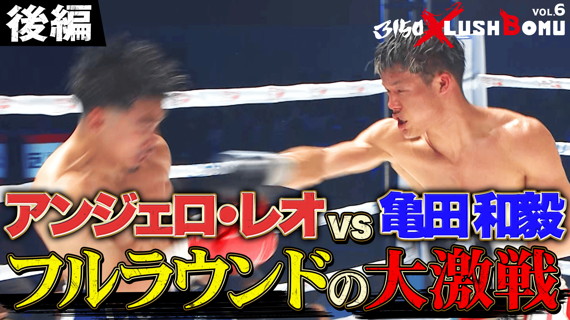 亀田興毅 3150シリーズ - 3150 × LUSHBOMU vol.6 - アンジェロ